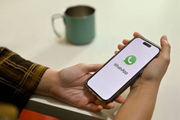 como-usar-duas-contas-do-WhatsApp-no-mesmo-celular